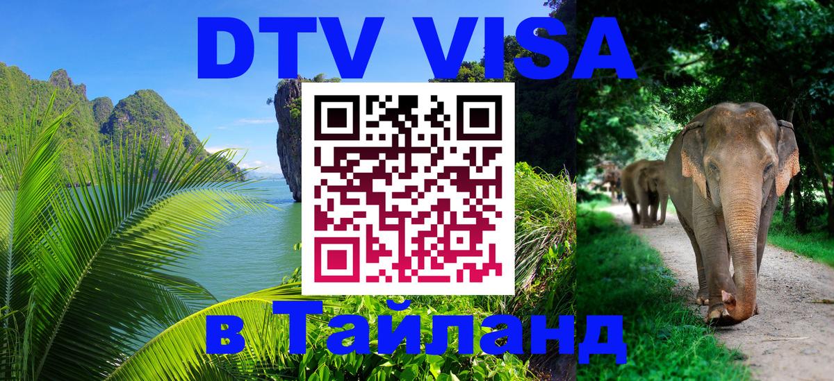 Оформление DTV визы под ключ: стоимость и тарифы, только загранпаспорт - Новосибирск 